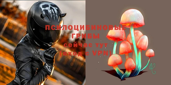 мдпв Нея