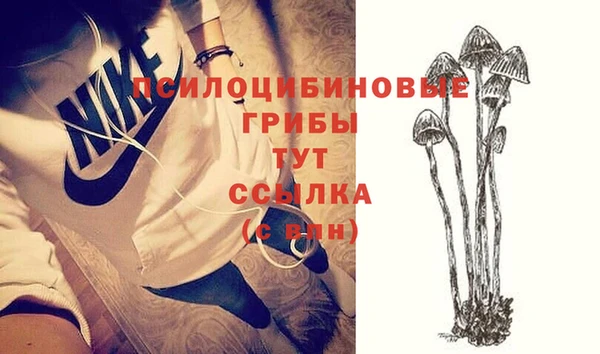 гашиш Новозыбков