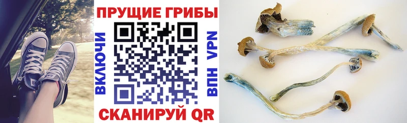 Псилоцибиновые грибы MAGIC MUSHROOMS  Никольское 