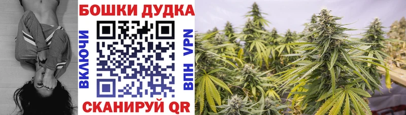 магазин продажи   Никольское  Конопля марихуана 